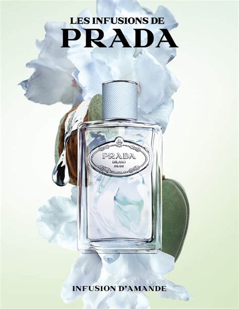 prada d'amande|Altro.